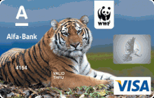 Дебетовая карта «WWF» от банка Альфа-банк