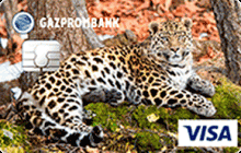 Дебетовая карта «Леопардесса Бэри» от банка Газпромбанк