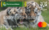 Дебетовая карта «Амурский тигр» от банка Россельхозбанк
